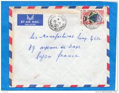 MARCOPHILIE-lettre- Cote Des Somalis- Cad-Djibouti-1960- Stamp-N°300 Poisson -pour Françe - Covers & Documents