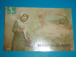 79 ) Souvenir De Beauvoir-sur-niort - N° 3073 : Train :  Année  - EDIT : Polo - Beauvoir Sur Niort