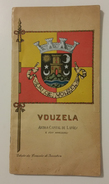 VOUZELA - MONOGRAFIAS- « Vouzela - Antiga Capital De Lafões» (Ed. Comissão De Iniciativa - 1930) - Livres Anciens