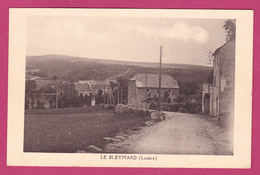 LE BLEYMARD 48 ( UNE RUE ) - Le Bleymard