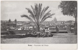 RM15 !!! ROMA PANORAMA DAL PINCIO ANNI ‘10 F.P. !!! - Parken & Tuinen