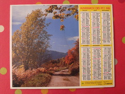 Almanach Des PTT. 1981. Mayenne Laval. Calendrier Poste, Postes Télégraphes. Grau Du Roi - Grossformat : 1971-80