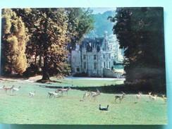 V07--74- K-dep.76-parc Zoologique De Cleres-le Chateau-antilopes- - Clères