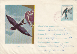 54288- SWALLOWS, BIRDS, COVER STATIONERY, 1961, ROMANIA - Schwalben