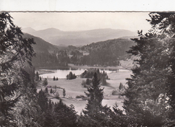 G , Cp , 01 , OYONNAX , Environs , Le Lac Genin , - Oyonnax