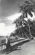 Conakry (Guinée Française) - Corniche Sud - Edition Pariscoa - French Guinea