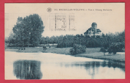 Woluwe-St.-Pierre - Vue à L'Etang Melaerts - 1929 ( Voir Verso ) - Woluwe-St-Pierre - St-Pieters-Woluwe