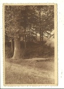 Grez Doiceau Environs Au Bois De Beausart - Graven