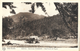 Maroc - Environs D'Agadir - Une Forêt De Tuyas - Photo Flandrin - Carte Animée, Non Circulée - Autres & Non Classés