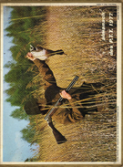 PTT - Tarn Et Garonne - Pêche à La Truite  Le Haut Ossau - Chasse Canard - Fusil - Grand Format : 1971-80