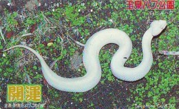 Télécarte JAPON * ZODIAQUE * SERPENT (449)  SNAKE * SCHLANGE * HOROSCOPE * PHONECARD JAPAN * TELEFONKARTE STERNZEICHEN - Zodiaque