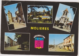 D82 - MOLIERES - VIELLE TOUR-VUE GENERALE-L'EGLISE-LA PROMENADE - MULTIVUES AVEC BLASON - CPSM Grand Format - Molieres