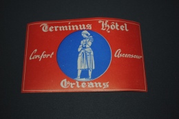 Ancienne étiquette D'hôtel Ou De Valise Terminus Hôtel Orléans Jeanne D'Arc - Etiquettes D'hotels