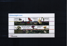 Netherlands / Niederlande 2001 Michel Block 70 Postfrisch / MNH - Nuevos