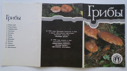 From MUSHROOMS Set  - 8 PCs Lot -  Mushroom - Old Postcard - - Champignon 1990 - Paddestoelen