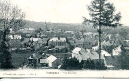 N°32923 -cpa Putanges -vue Générale- - Putanges