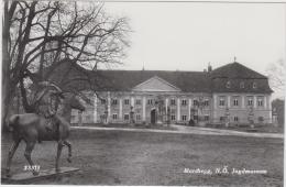 AK - NÖ - Bez. Gänserndorf - Marchegg - Jagdmuseum - 1950 - Gänserndorf