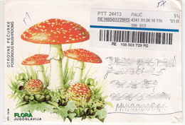 Poisonous Mushrooms /  LETTER Envelope - Paddestoelen