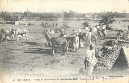 Colonne Du Haut-Guir: Bou-Denib - Camp De La Colonne Alix: 5 Septembre 1908 - Edition J. Geiser, Carte Non Circulée - Altre Guerre