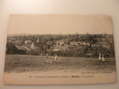 89- YONNE- SAINTS EN PUISAYE- Vue Générale - Saint Sauveur En Puisaye