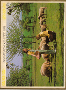 PTT - Tarn Et Garonne - Moutons Et Couple De Bergers Modernes - Enfant - Chien - Grand Format : 1971-80