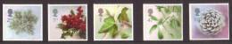 GRAND-BRETAGNE 2002 - Noël 2002 - 5v Neufs// Mnh - Unused Stamps