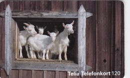 Sweden, 120.026, White Goats, 2 Scans. - Schweden