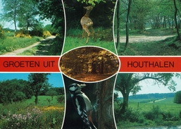 HOUTHALEN-GROETEN UIT - Opglabbeek