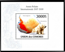 COMORES 2010 - Anno Polare Internazionale - Orso / Bear - Block MNH Come Da Scansione - Año Polar Internacional