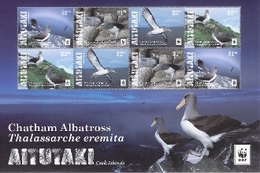 Aitutaki 2016, WWF, Water Birds, BF - Aitutaki