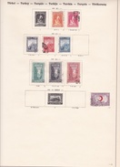 Turquie - Collection Vendue Page Par Page - Timbres Oblitérés / Neufs *(avec Charnière) -Qualité B/TB - Gebraucht