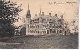 Kasteel Van Selsaete - Wommelgem