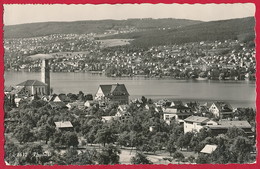 Foto-Ak SCHWEIZ, 'Thalwil' ~ 1960 - Thalwil