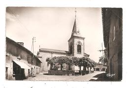 Nieul-place De L'Eglise-(B.6832) - Nieul