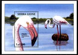 SIERRA LEONE 1994** - Uccelli / Birds - Fenicottero Rosa - Block MNH Come Da Scansione - Flamingo