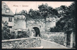 9392 - Alte Ansichtskarte - Alzey - Schloß - N. Gel - Alzey