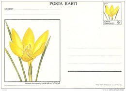 Turkey; 1988 Postal Stationery With The Subject Of Flowers - Postwaardestukken