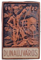 1972. 'Dunaújváros' Zománcozott Fém Jelvény (15x22mm) T:1-,2 - Ohne Zuordnung