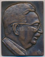 Beck András (1911-1985) 1977. 'Dr Weil Emil 1897-1954 - Jubileumi Emlékülés' Br Plakett... - Ohne Zuordnung