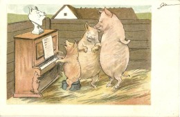 T2 1899 Pig Pianist, Humour, Litho - Ohne Zuordnung