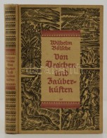 Wilhelm Bölsche: Von Drachen Und Zauberküsten. Abenteuer Aus Dem Kamps Mit Dem Unbekannten In Der Natur.... - Ohne Zuordnung