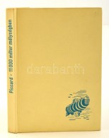 Jacques Piccard: 1100 Méter Mélységben. Fordította Szabó György. Bp., 1965,... - Ohne Zuordnung
