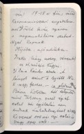 Voyage En Hongrie. Magyarországi Utazás. Kodály Zoltán Jegyzetfüzete 1906-1910.... - Ohne Zuordnung