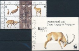 ** 1996 WWF Négyestömb és Bélyegfüzet Mi 298-301 - Sonstige & Ohne Zuordnung