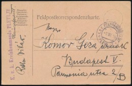 1918 Tábori Posta LevelezÅ‘lap / Field Postcard 'K.u.k. Kreiskommando PLEVLJE' + 'EP PLEVLJE A' - Other & Unclassified