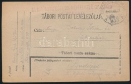 1918 Tábori Posta LevelezÅ‘lap 'M.KIR. BUDAPESTI 29. NÉPFELKELÅ GY. EZRED 10. SZÁZAD' + 'TP... - Sonstige & Ohne Zuordnung