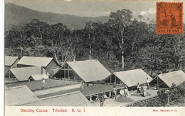 CPA (antilles)  TRINIDAD  Dancing Cocoa - Trinidad