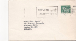 3104  Carta  Eire, Irlanda, Baile Atha  Cliath 1977 , Prevent Foresty Fires - Brieven En Documenten