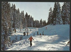 SKILIFT RÜSCHEGG BE Schwarzenburg Riggisberg 1976 - Riggisberg 