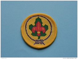 ( Speld - Epingle - Pin - Brooch - Badge ) Zie Foto Voor Détail ! - Scoutisme